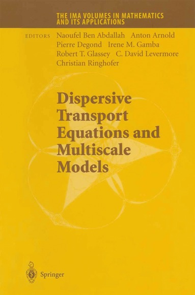 bokomslag Dispersive Transport Equations and Multiscale Models