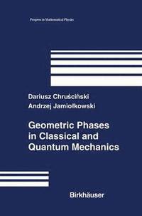 bokomslag Geometric Phases in Classical and Quantum Mechanics