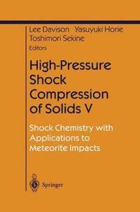 bokomslag High-Pressure Shock Compression of Solids V
