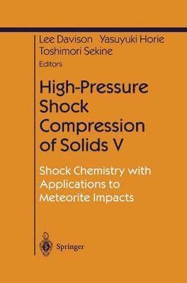 bokomslag High-Pressure Shock Compression of Solids V