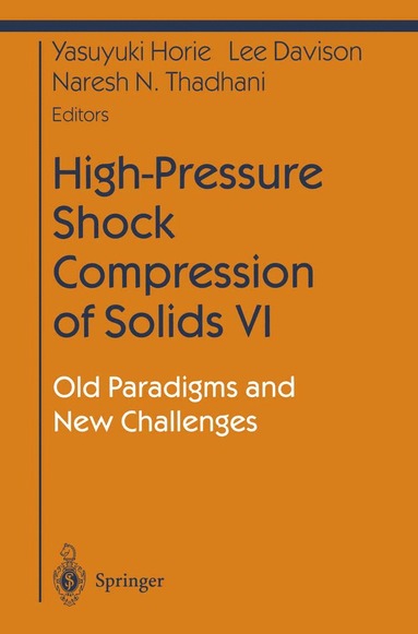 bokomslag High-Pressure Shock Compression of Solids VI