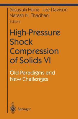 Yasuyuki Horie, Lee Davison, Naresh Thadani - High-Pressure Shock Compression of Solids VI, Häftad