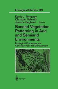 bokomslag Banded Vegetation Patterning in Arid and Semiarid Environments