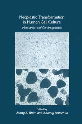 Johng S. Rhim, Anatoly Dritschilo - Neoplastic Transformation in Human Cell Culture, Häftad