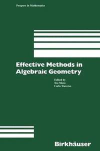 bokomslag Effective Methods in Algebraic Geometry
