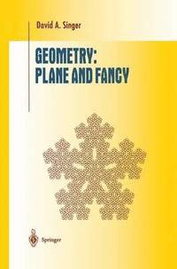 bokomslag Geometry: Plane and Fancy