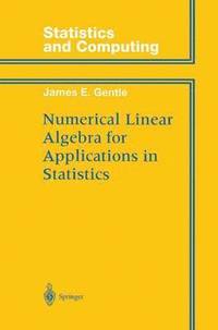 bokomslag Numerical Linear Algebra for Applications in Statistics