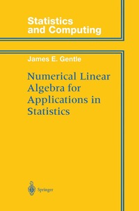 bokomslag Numerical Linear Algebra for Applications in Statistics