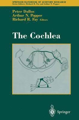 Peter Dallos, Richard R. Fay - Cochlea, Häftad