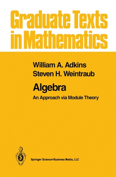 William A. Adkins, Steven H. Weintraub - Algebra, Häftad