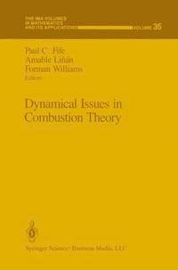bokomslag Dynamical Issues in Combustion Theory
