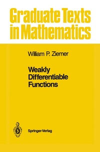 bokomslag Weakly Differentiable Functions