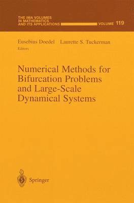 Eusebius Doedel, Laurette S. Tuckerman - Numerical Methods for Bifurcation Problems and Large-Scale Dynamical Systems, Häftad