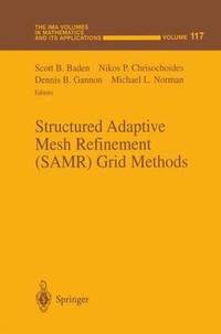 bokomslag Structured Adaptive Mesh Refinement (SAMR) Grid Methods