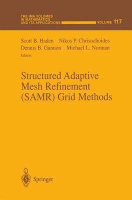 bokomslag Structured Adaptive Mesh Refinement (SAMR) Grid Methods