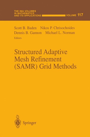 bokomslag Structured Adaptive Mesh Refinement (SAMR) Grid Methods