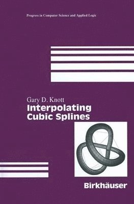 bokomslag Interpolating Cubic Splines