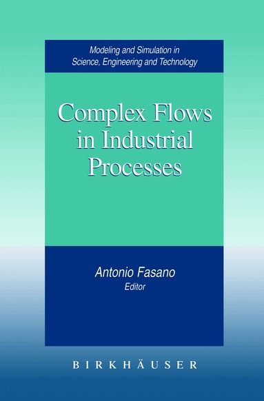 Antonio Fasano - Complex Flows in Industrial Processes, Häftad