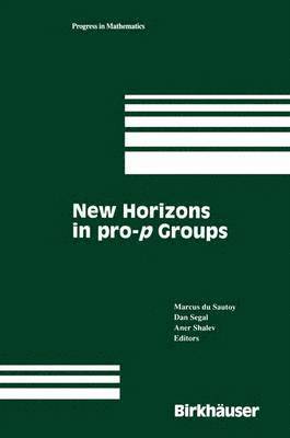 bokomslag New Horizons in pro-p Groups
