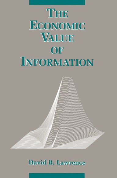 bokomslag Economic Value of Information