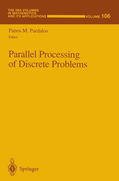 Panos M. Pardalos - Parallel Processing of Discrete Problems, Häftad