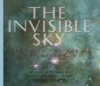 bokomslag The Invisible Sky