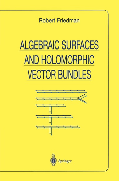 Robert Friedman - Algebraic Surfaces and Holomorphic Vector Bundles, Häftad