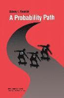 bokomslag Probability Path