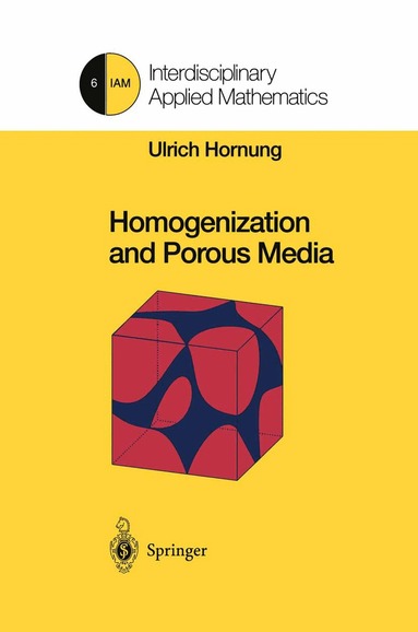 Ulrich Hornung - Homogenization and Porous Media, Häftad