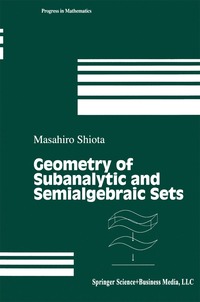 bokomslag Geometry of Subanalytic and Semialgebraic Sets