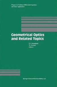 bokomslag Geometrical Optics and Related Topics