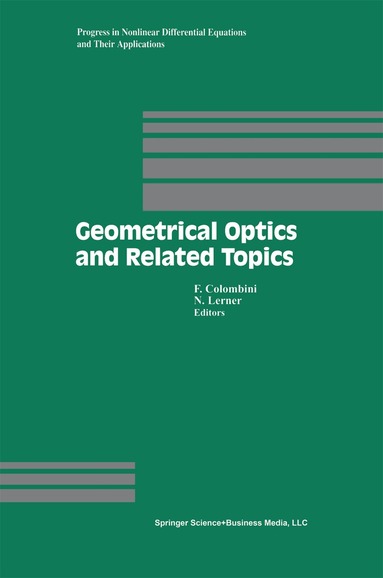 Ferrucio Colombini, Nicolas Lerner - Geometrical Optics and Related Topics, Häftad
