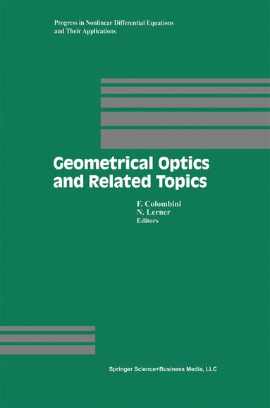 bokomslag Geometrical Optics and Related Topics