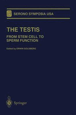 bokomslag Testis