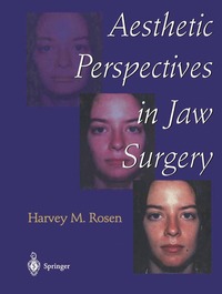 bokomslag Aesthetic Perspectives in Jaw Surgery
