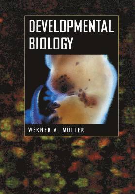 Werner A. Müller, Werner A. Mueller - Developmental Biology, Häftad