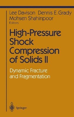 Lee Davison, Dennis E. Grady, Mohsen Shahinpoor - High-Pressure Shock Compression of Solids II, Häftad