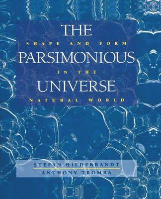 bokomslag The Parsimonious Universe
