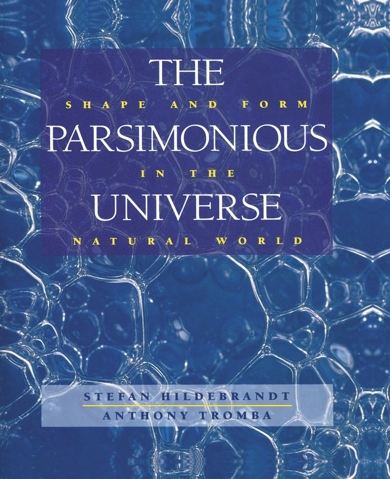 The Parsimonious Universe 1