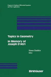 bokomslag Topics in Geometry