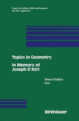 bokomslag Topics in Geometry