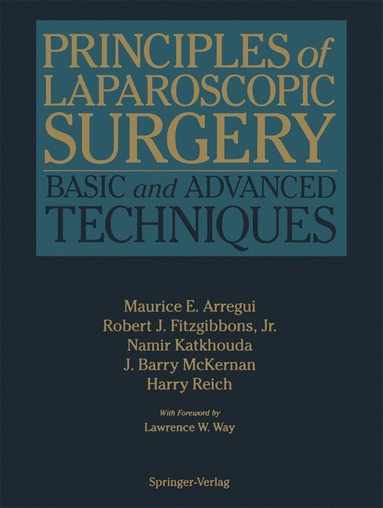 bokomslag Principles of Laparoscopic Surgery