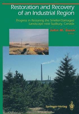 bokomslag Restoration and Recovery of an Industrial Region