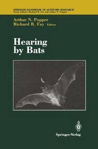 bokomslag Hearing by Bats