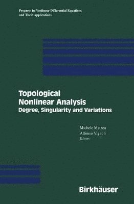 Michele Matzeu, Alfonso Vignoli - Topological Nonlinear Analysis, Häftad