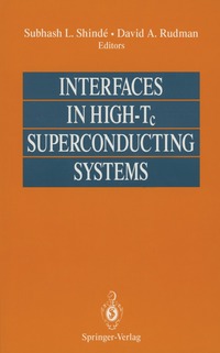 bokomslag Interfaces in High-Tc Superconducting Systems