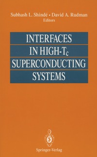 bokomslag Interfaces in High-Tc Superconducting Systems