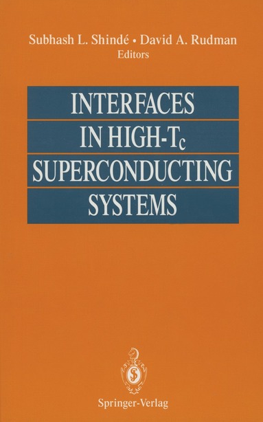 bokomslag Interfaces in High-Tc Superconducting Systems