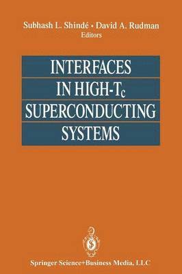 Interfaces in High-Tc Superconducting Systems 1