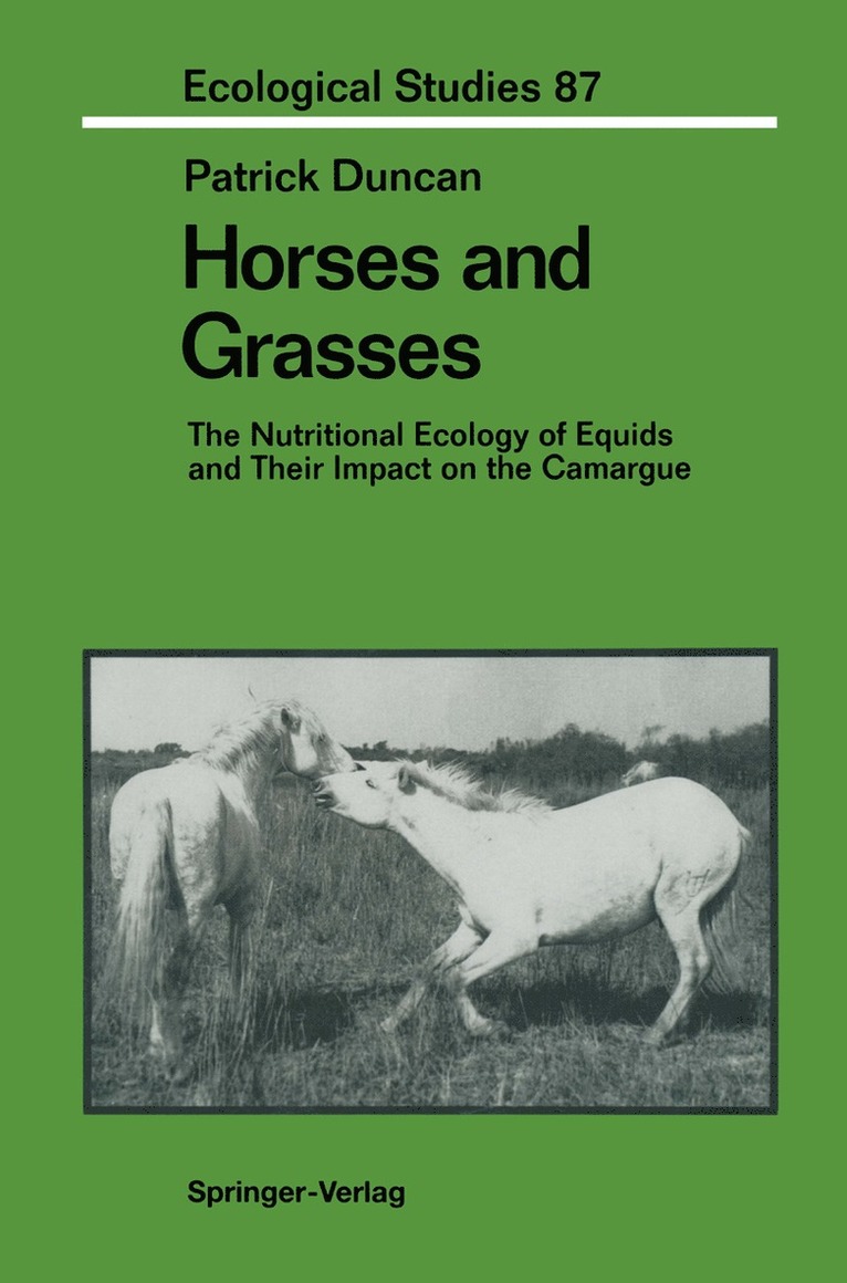 Patrick Duncan - Horses and Grasses, Häftad